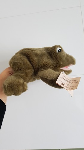 Anna club plush toy frog - anna,