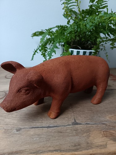 Large rusty pig piglet - , cold