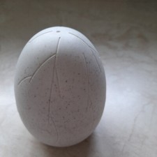 Hatching Dinosaur Egg + Rubber Ball with Floating Dinosaur Head