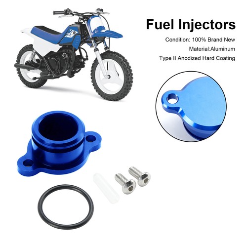 Oil injection pump delete - oil,