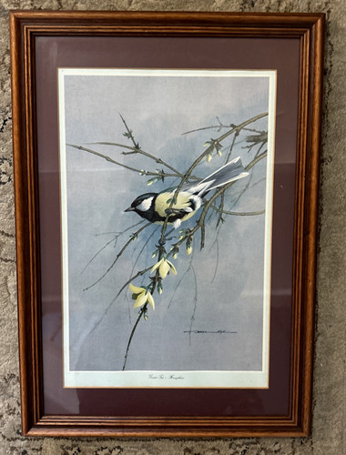 Basil ede great tit - basil, print