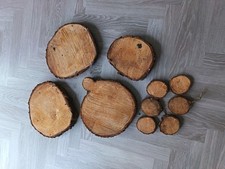  Job Lot Of Natural Cedar Thick Lovely Slab Slabs Slice Dried Collection Only 