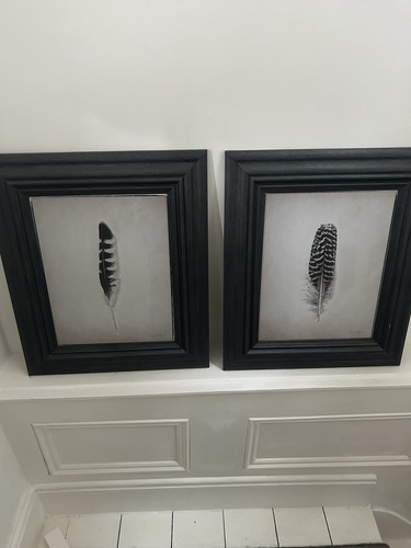 Pair framed picture - framed, art