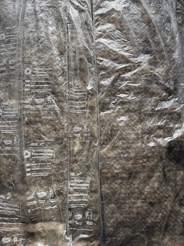 Sheep wool sheets - sheep,