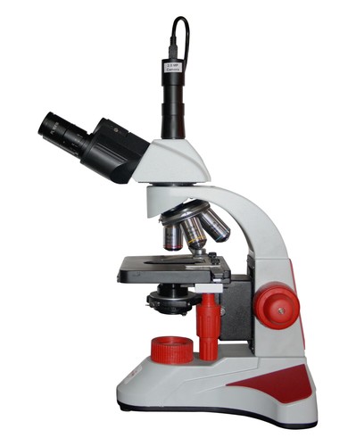 Radical 2500x trinocular - 2500x,