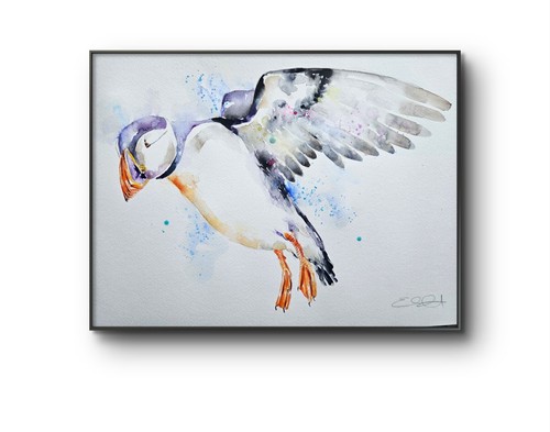 Original puffin watercolour - original,