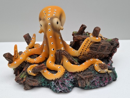 Octopus aquatic aquarium - octopus,