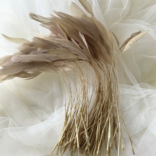 Stripped coque feather - coque,