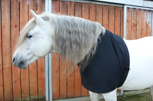 Lycra horse bib anti - bib,,