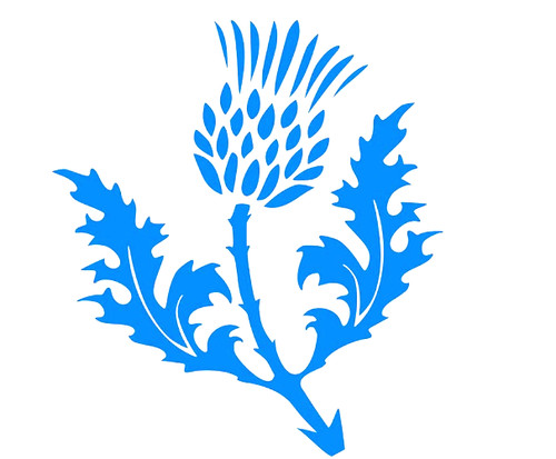 Scotland thistle flower vinyl - thistle,