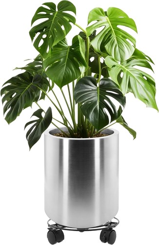 30cm pots for - pots, plants
