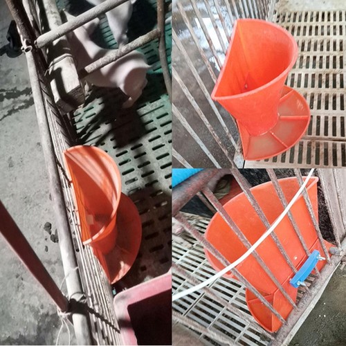 Pig feeder animal husbandry - feeder,