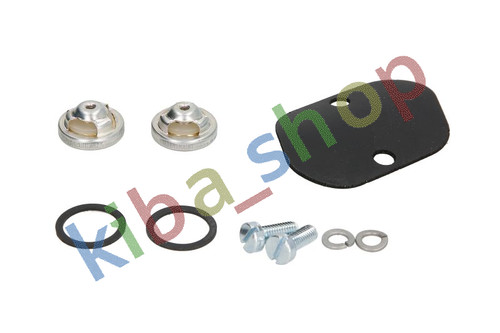 Vacuum pump repair kit fits - kit,