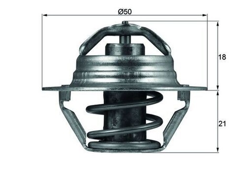 Fits mahle 100 89d - 100,