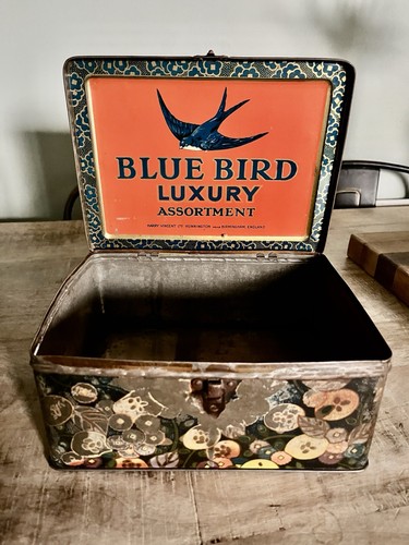 Vintage blue bird luxury - bird,