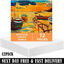 12 Blank Artist Canvas Set 20x20cm Large Plain Painting Boards Stretched/Framed