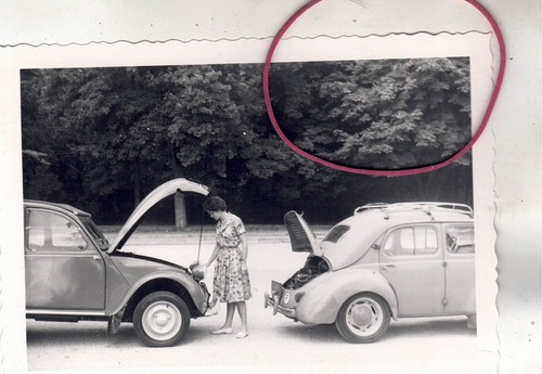 Photo car automobiles - photo,