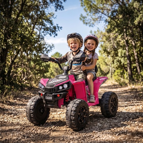 24v seater electric - 2, quad