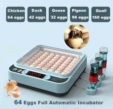 64 Egg Incubator, Full