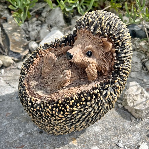 Hedgehog garden ornament - hedgehog,