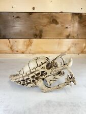 Skull Sculpture Alien vs