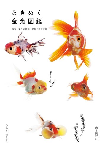 Goldfish field guide book - goldfish,