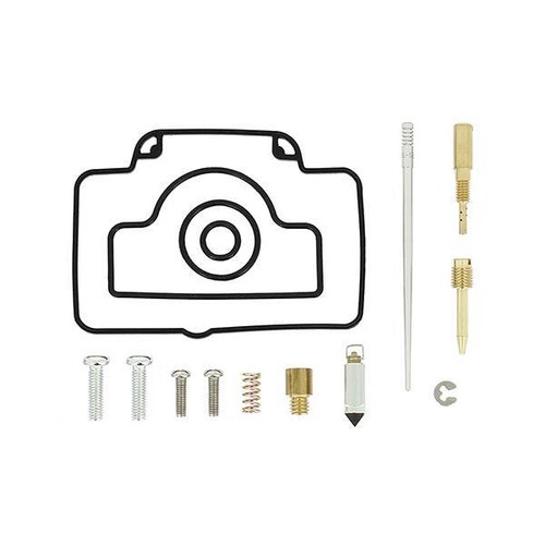 Carburetor revision kit - revision,