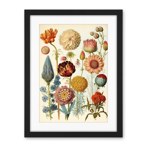 Vintage botanical illustration - vintage,