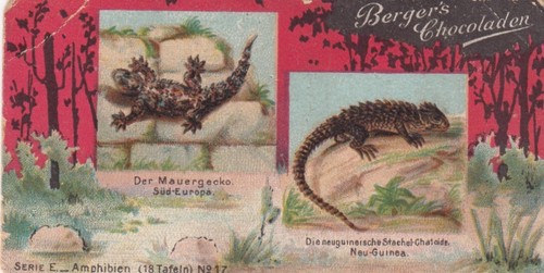 Robert berger chocolate - robert,