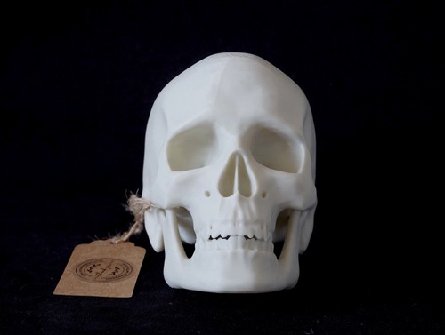 Printed replica human skull - printed,