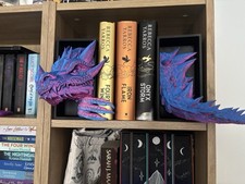 2 tone pink/blue Emerging