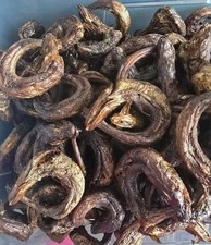 Smoked Dried Panla fish/Smoked