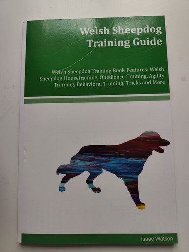 Welsh sheep dog - sheep, guide