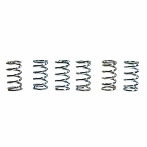 Trw clutch spring - kit, 6