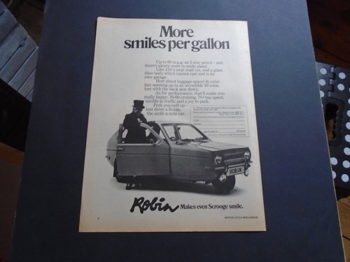 Robin the smile - robin,