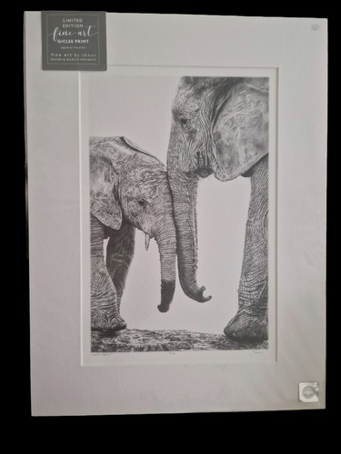Signed limited edition giclée - edition,