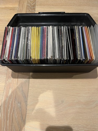 Daily telegraph promo dvd - daily, dvd/cds