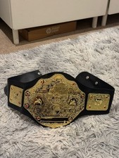 WWE Championship Kids