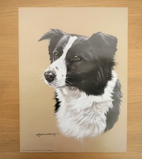 Border Collie Dog Print Pollyanna Pickering - No 122 Vintage 1986 - 40cm x 30cm