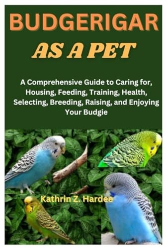 Budgerigar pet a - a,