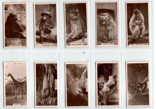 Millhoff zoological studies - millhoff:,