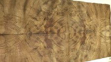 Walnut Burr Veneer - 16 Sheets