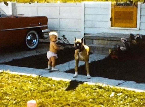 Old 8mm film video home - film, movie