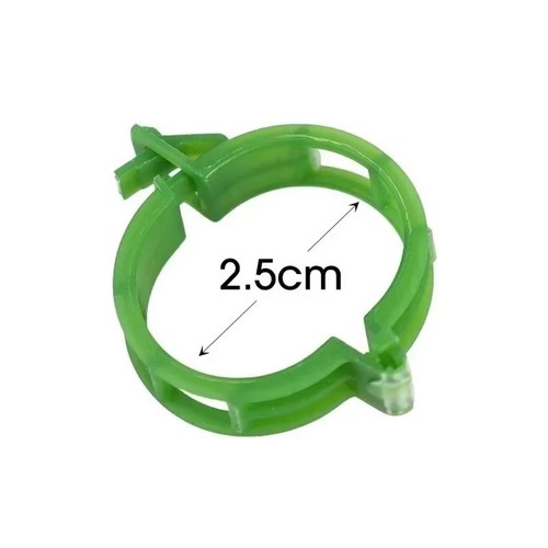 100x clip tomato and - 100x,