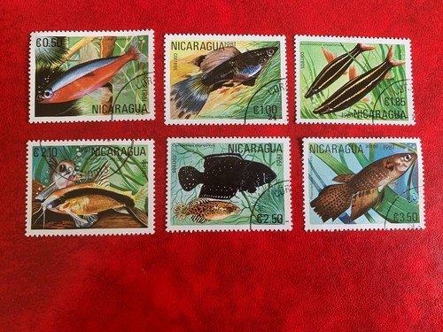Nicaragua 1981 used fish tetra - nicaragua,