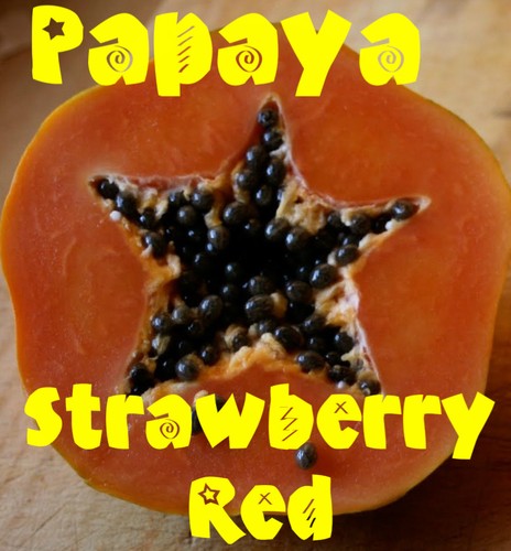 Sunset papaya strawberry red - ~sunset, papaya~