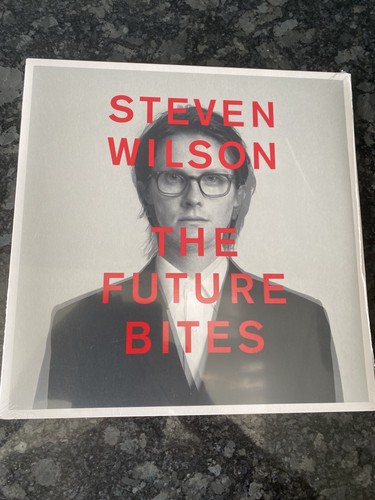 Steven wilson the future - wilson,