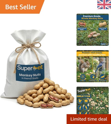10kg wild bird peanut treats - bird,