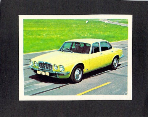 Y2269 weet bix - cars, of