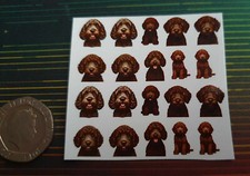 Cute, Cockapoo, Dog, Chocolate, Brown, Pretty, Fun, Nail Art, Decals